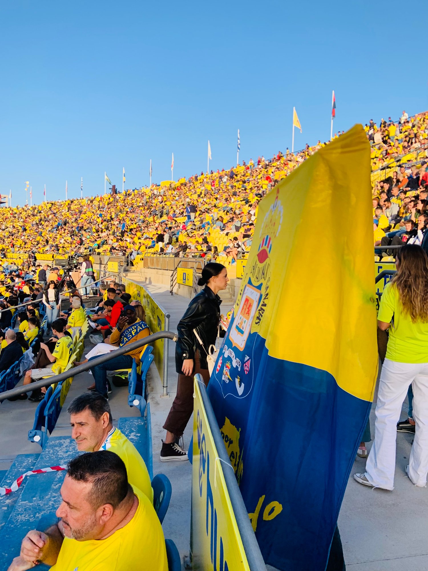 Las palmas