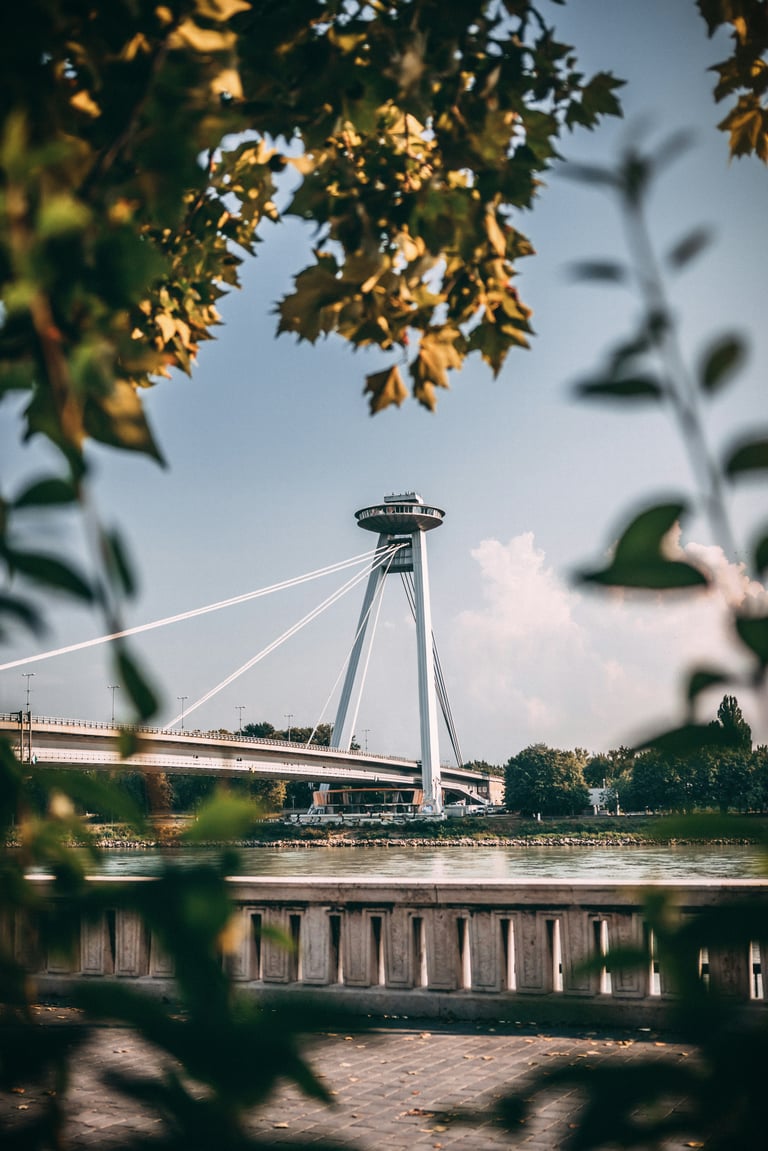 martin-katler-PEUZNVIXfhY-unsplash